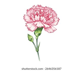 Elegant carnations in shades of pink and red—perfect for wedding invites, romantic decor, or feminine designs. Delicate petals and botanical charm for timeless floral appeal.