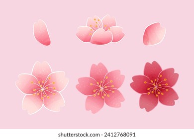 Elegant cherry blossom element set isolated on light pink background.