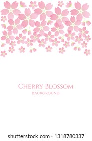 elegant cherry blossom vector background