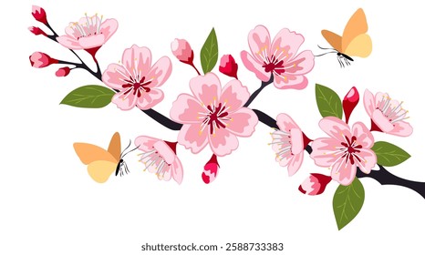 Elegant cherry blossom vector illustration featuring delicate pink flowers with butterflies on a serene branch