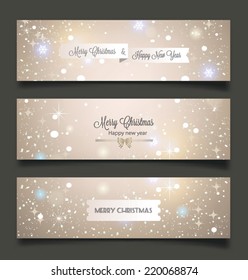 Elegant Christmas background with snowflakes and place for text. Vector Illustration.
