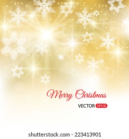 Elegant Christmas background with white snowflakes and lights. Vector Illustration.