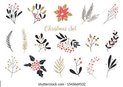 Elegant Christmas Graphic Set. Set of plants with flowers, spruce branches, leaves and berries. Hand drawn design elements.