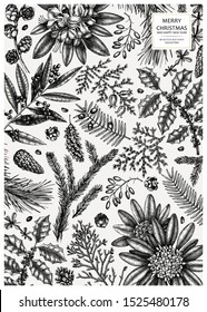 Elegant Christmas greeting card or invitation. Vector design with hand drawn winter flowers, conifers and evergreen plants sketches. Vintage template with hand drawn botanical elements. 