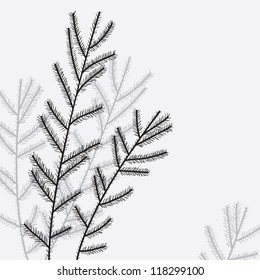 Elegant christmas tree branch. Vector illustration