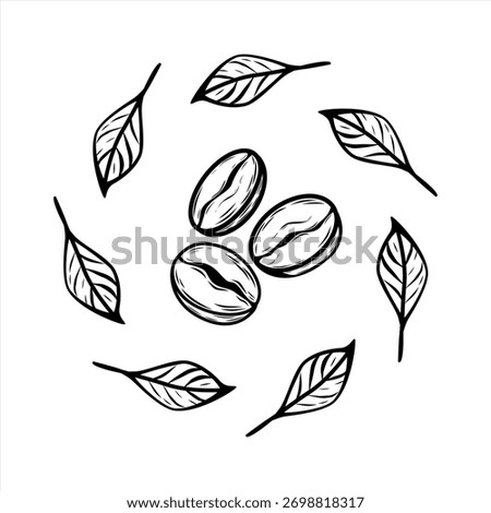 Elegant coffee bean and leaf circle in minimalist line art style. Perfect vector for cafe logo, branding, packaging, labels, and modern decor design.