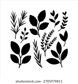 Elegant collection of botanical silhouette elements for design and decoration project