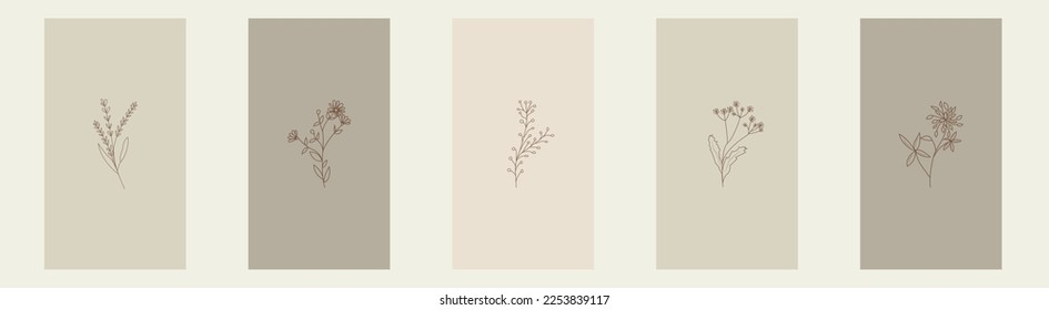 An elegant collection of botanical templates for stories. Herbs and flowers on beige and brown background. Aesthetic design for social networks, brochures, beauty salon. Modern minimalism.