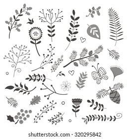 Elegant collection with flowers leaves and twigs. Ideal for invitations wedding or greeting cards