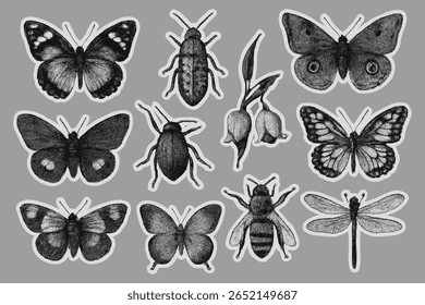 Elegante coleção de ilustrações de insetos monocromáticos em um estilo de gravura vintage com borboletas besouros uma abelha e libélula fornecendo uma estética atemporal.