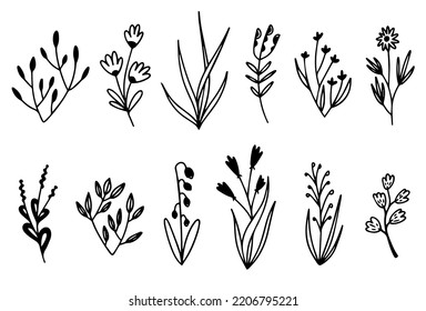 Elegant collection of plants and flowers in line art style.Vector illustration for flower compositions.