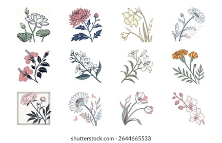 Elegante coleção de doze ilustrações florais desenhadas à mão apresentando variedade de elementos botânicos