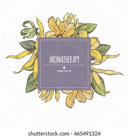 Elegant color center frame template with ylang-ylang sketch. Aromatherapy series. Great for traditional medicine, perfume design, cooking or gardening.