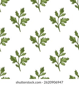 Elegante colorido padrão sem emenda com detalhes salsa rampas no estilo vintage desenhado à mão. Ideal para embalagens de alimentos, marca de produtos orgânicos, fundos culinários e projetos com temas naturais.