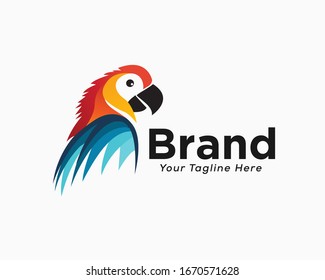 Elegant colorful parrot half body view logo design inspiration