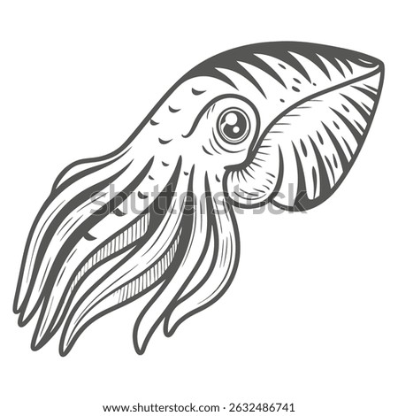 Elegant Common Cuttlefish Line Art Illustration