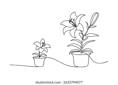 Elegant continuous line drawing of lilies in pots depicting beauty and growth