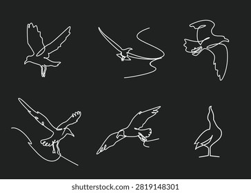 Elegant continuous line drawings of various flying and standing birds on a black background, perfect for minimalist design and nature-themed projects.