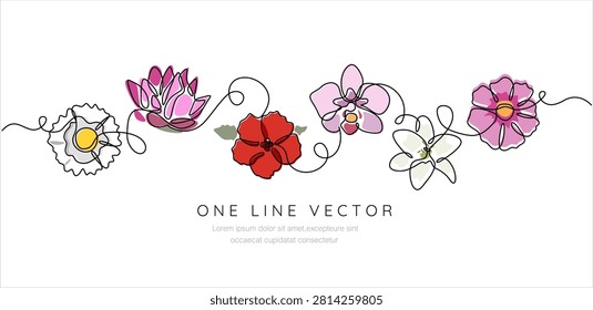 Elegant Continuous One Line
