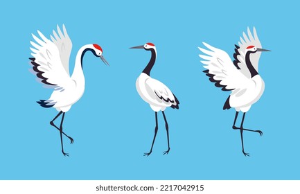 Elegant crane birds set. White stork, egret, heron standing and dancin vector illustration