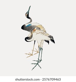 Elegant cranes in traditional Japanese art style. Cranes with detailed feathers, cranes in a serene pose. Japanese art highlighting cranes' grace. Vintage animal illustration isolated on white, vector