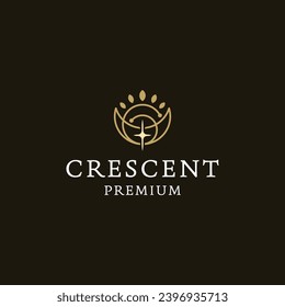 elegant crescent moon logo icon design template flat vector