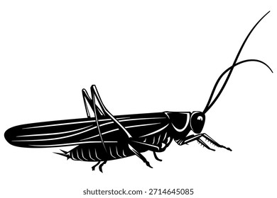 Elegante Ilustración vectorial de la silueta del grillo y del saltamontes. Arte detallado del insecto para los temas de la vida silvestre y de la Naturaleza, perfectamente aislado en un fondo blanco prístino, para sus proyectos creativos
