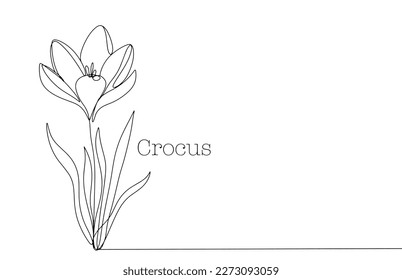 Elegant crocus in one line. Delicate flower for various types of use. Spring illustration. Vector illustration