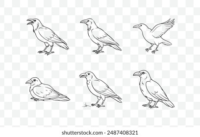 Elegant Crow Line Art Vector Set: Perfect for Graphic Design and Creative Projects