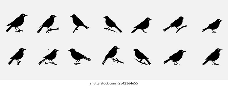Elegant Cuckoo Bird Silhouette for Nature Art and Design