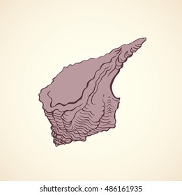 Elegant curled pink color seashell isolated on white backdrop. Freehand outline ink hand drawn picture sketchy in art doodle style pen on paper. Closeup view with space for text on shore sand