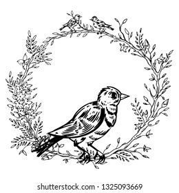 Elegant and cute illustration. Birds sit on each branch. Printing for textile and industrial purposes. And a beautiful romantic frame of flowers and twigs on a dark background. Sparrow in the center.