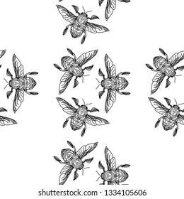 Elegant and cute illustration. Vector illustration of the engraving highly detailed hand-drawn beetle with wings, insect on white background - vector pattern for print.