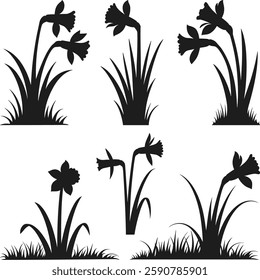 Elegant Daffodil Silhouette Set – Floral Spring Vector Illustration