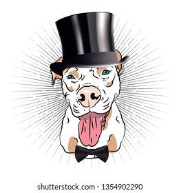 Elegant dandy dog. Fun graphic. Vector drawing.