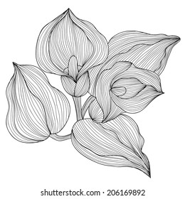 Elegant decorative calla flowers, design element. Floral branch. Floral decoration for vintage wedding invitations, greeting cards, banners.