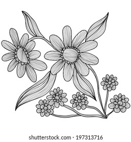 Elegant decorative camomile flowers, design elements. Floral branch. Floral decoration for vintage wedding invitations, greeting cards, banners.