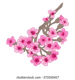 Elegant decorative cherry blossom flowers, design element. Floral branch. Floral decoration for vintage wedding invitations, greeting cards, banners.