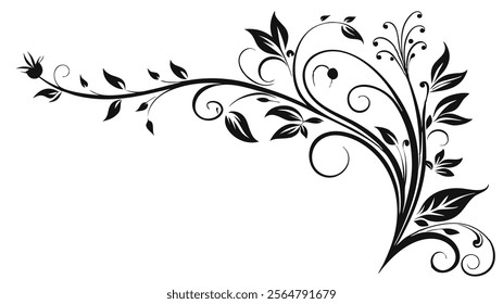 Elegant Decorative Divider Line with Symmetric Ornamental Border, Featuring Floral Motif and Abstract Flourish Filigree Elements