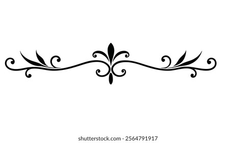 Elegant Decorative Divider Line with Symmetric Ornamental Border, Featuring Floral Motif and Abstract Flourish Filigree Elements