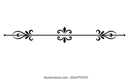 Elegant Decorative Divider Line with Symmetric Ornamental Border, Featuring Floral Motif and Abstract Flourish Filigree Elements