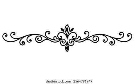 Elegant Decorative Divider Line with Symmetric Ornamental Border, Featuring Floral Motif and Abstract Flourish Filigree Elements