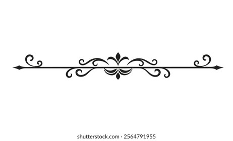 Elegant Decorative Divider Line with Symmetric Ornamental Border, Featuring Floral Motif and Abstract Flourish Filigree Elements