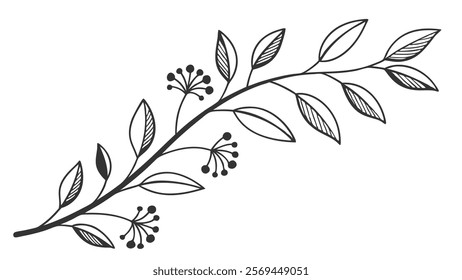 Elegant Decorative Divider Line with Symmetric Ornamental Border, Featuring Floral Motif and Abstract Flourish Filigree Elements
