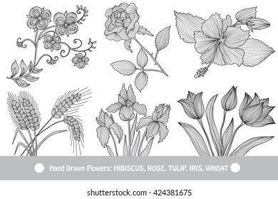 Elegant decorative flowers, design elements. Floral branches. Floral decorations for vintage wedding invitations, greeting cards, banners