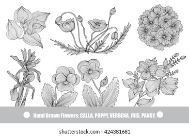 Elegant decorative flowers, design elements. Floral branches. Floral decorations for vintage wedding invitations, greeting cards, banners