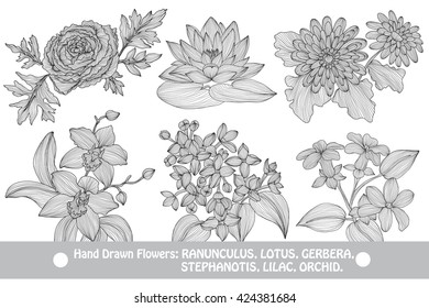 Elegant decorative flowers, design elements. Floral branches. Floral decorations for vintage wedding invitations, greeting cards, banners