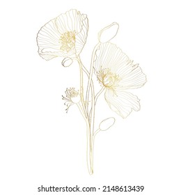 Elegant decorative golden line poppy flowers and buds, design element. Floral decoration for wedding invitations, greeting cards, banners.