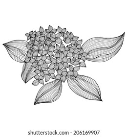 Elegant decorative hydrangea flowers, design element. Floral branch. Floral decoration for vintage wedding invitations, greeting cards, banners.