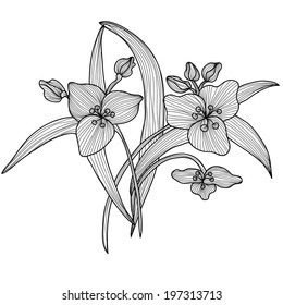 Elegant decorative lily flowers, design element. Floral branch. Floral decoration for vintage wedding invitations, greeting cards, banners.